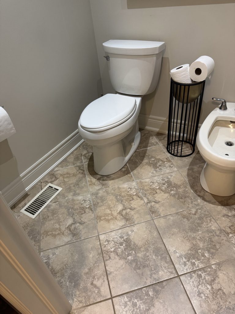 Getting a New Toilet Installed? What Milton Homeowners Should Know