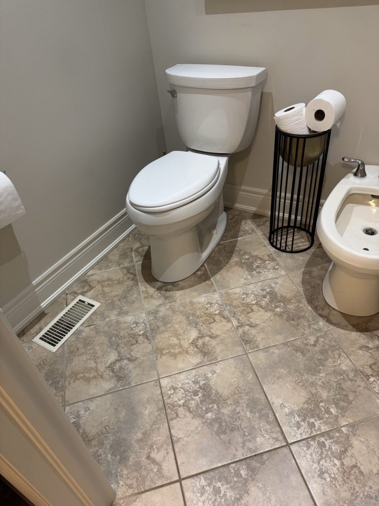 Getting a New Toilet Installed? What Milton Homeowners Should Know