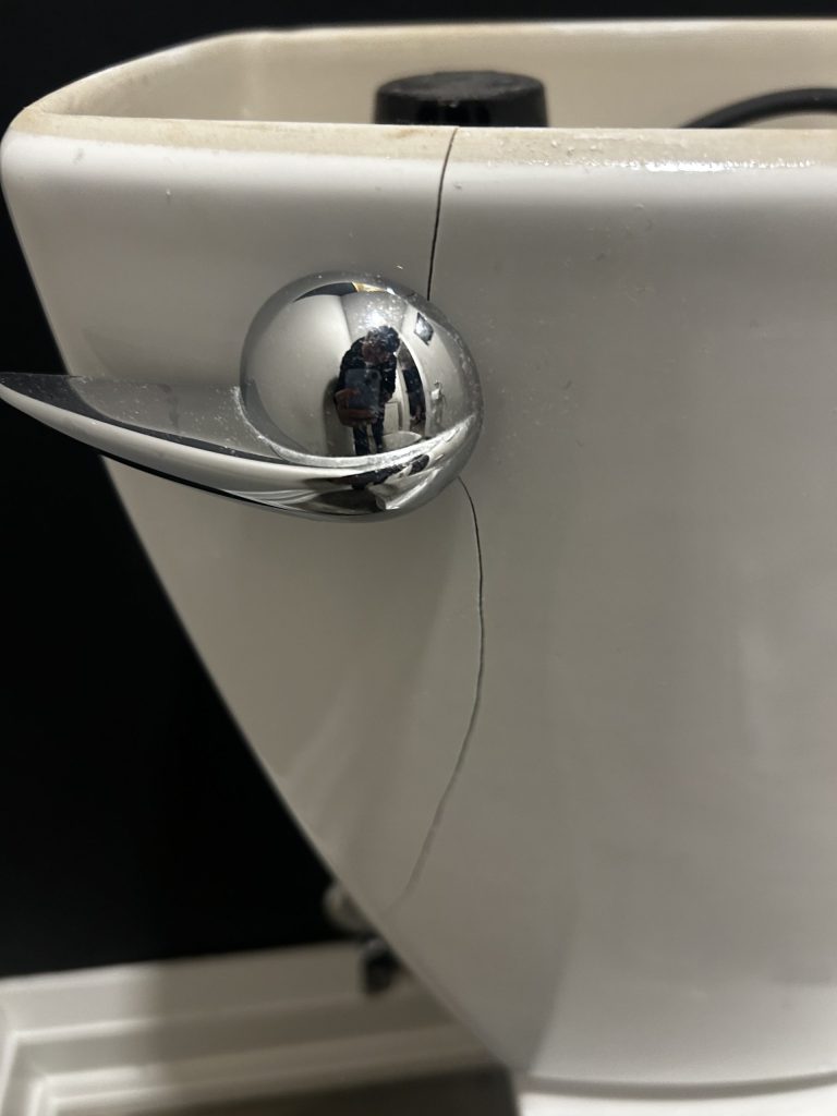 When a Toilet Has Finally Had Enough in East York