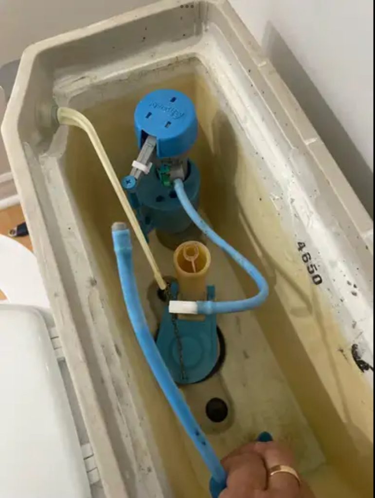 Broken Fill Valve in Etobicoke?
