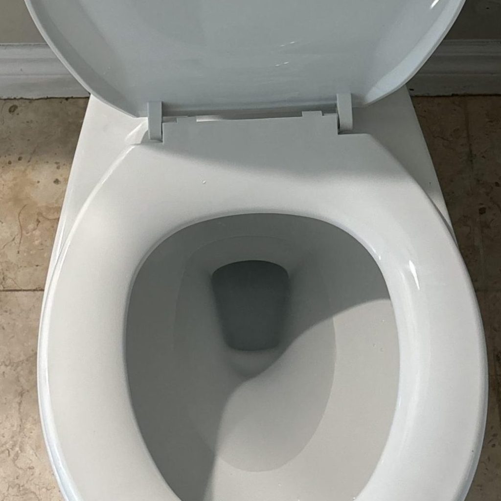 Clogged Toilet Repair in Young and Eglinton, Toronto – Plumber On Demand